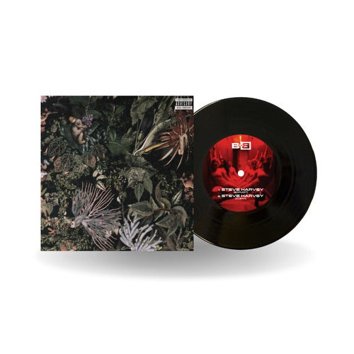 Steve Harvey 7" Vinyl